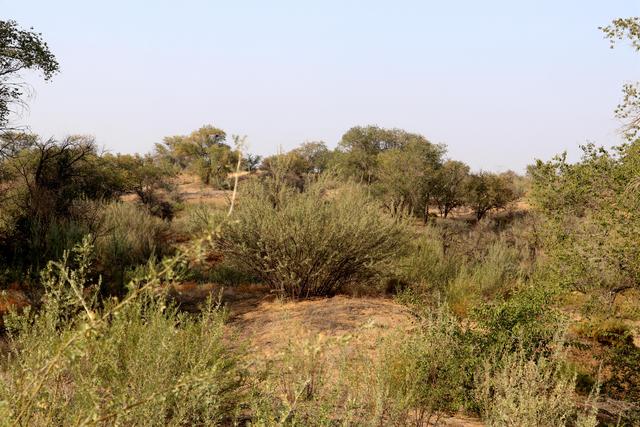 组图丨古浪县八步沙：人与自然的治沙画卷