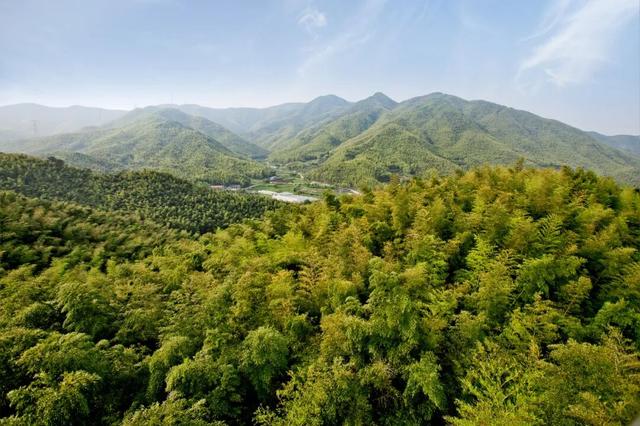 教师凭证免票、打折！宁波多景区最新消息
