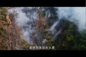 2024年《青春同期声》第19期预告丨森林防火人人有责，绿色家园共同守护图片