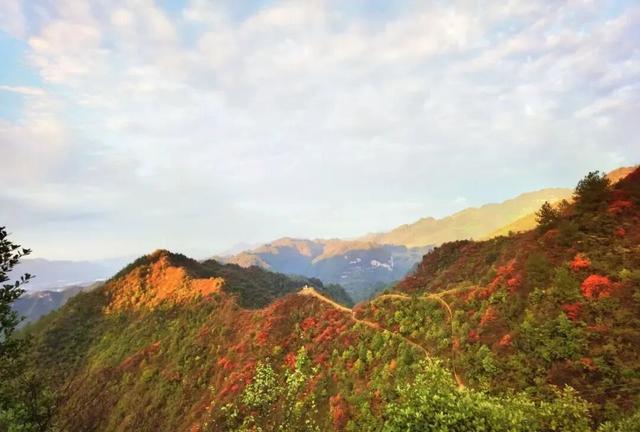 首届板溪红叶观赏活动收官！