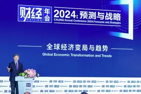 李稻葵：世界经济走向板块化格局，各自都有自己的发展节奏图片