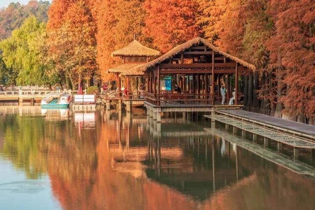 巨出片！马鞍山这里进入最佳观赏期