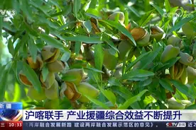 沪喀两城联手 产业援疆向规模化、科技化发展图片