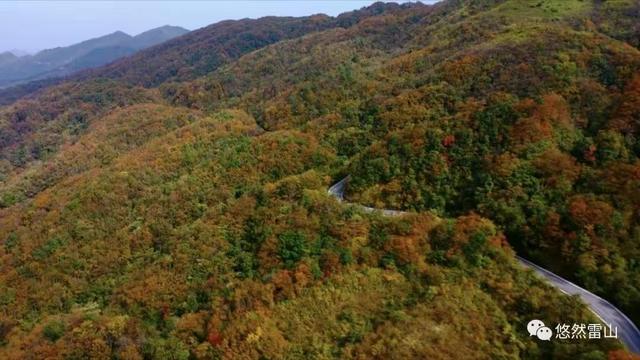 这个冬天，到贵州赴一场色彩之约