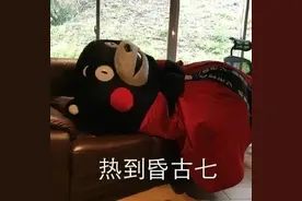 “秋老虎”凶猛！贵州这个地方竟然突破40℃图片