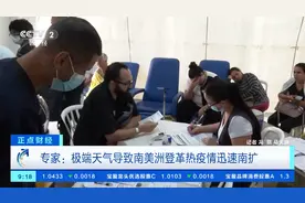 南美洲多国出现登革热疫情！专家：登革热疫情对年轻人影响较大图片