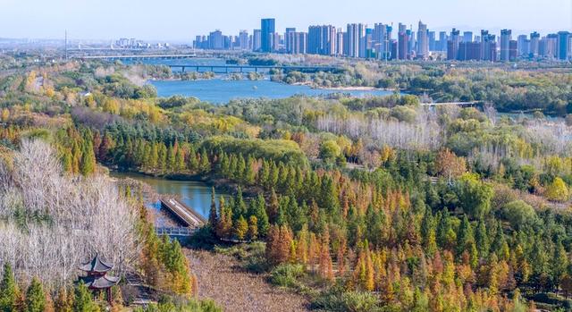 河南洛阳：伊河国家湿地公园冬景美如画