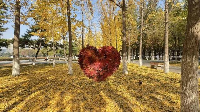 落叶变“宝藏”！临沂这些地点免费打卡