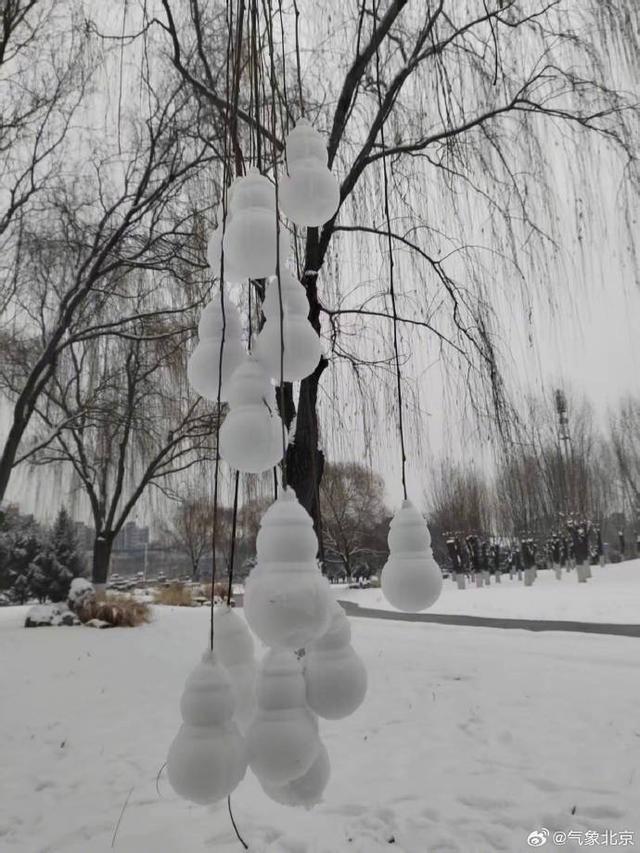 北京今冬首场大雪，市区公园美成画卷
