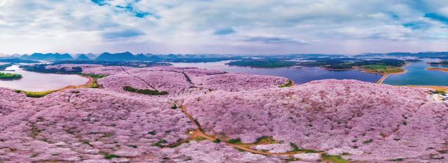 从“畅游”到“爽居”：这场旅居推介，藏着贵州最动人的生活提案