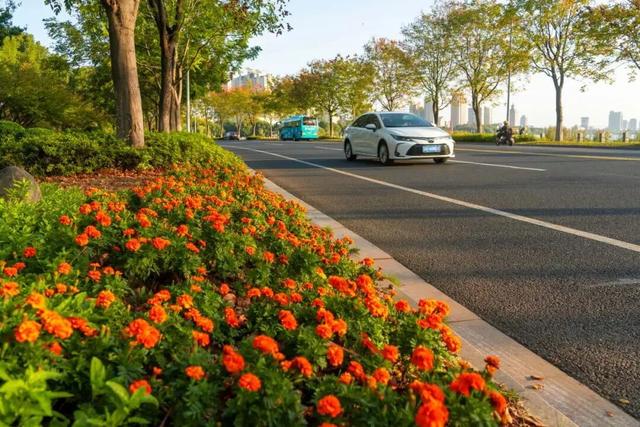 宜兴，一路斑斓！