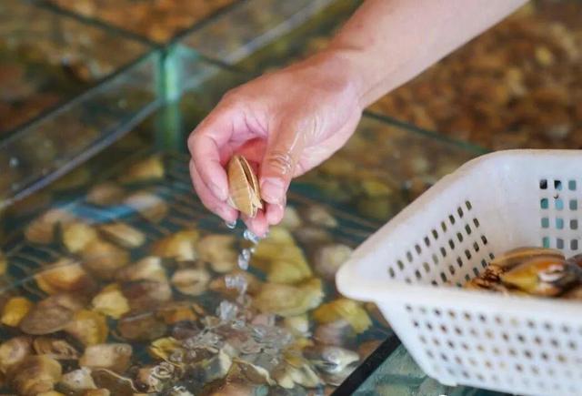 乘着高铁冬游南海 解锁宝藏旅居目的地