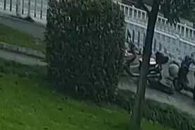 连着2天，浙江一大爷崩溃报警！7个“孙子”被一窝端图片