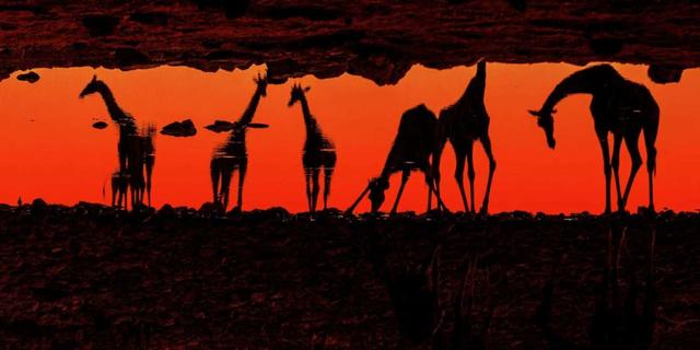 2026“新年第一游”去哪儿？从普陀出发，超全攻略锁定假期精彩！