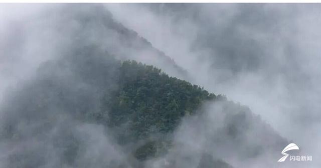 组图丨看到雨后的泰山，才知道原来水墨画是写实的！