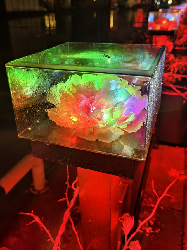 起猛了，我在洛阳被「牡丹」包围了！