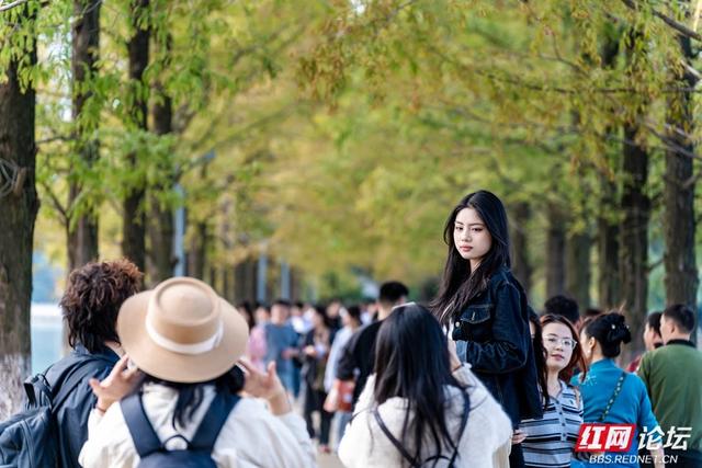 岁暖时刻丨暖冬长沙图鉴：烈士公园，藏不住的诗意光景