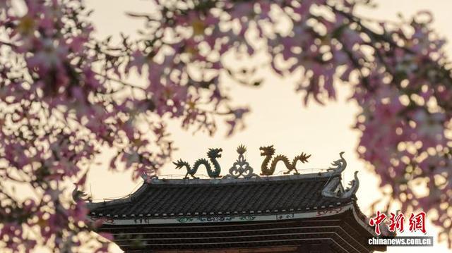 广西三江侗乡：花映廊桥美如画