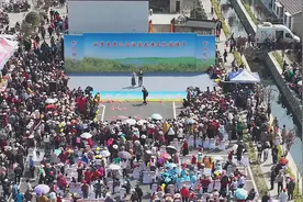 万人同游 云梦县第三届油菜花海旅游节举行图片