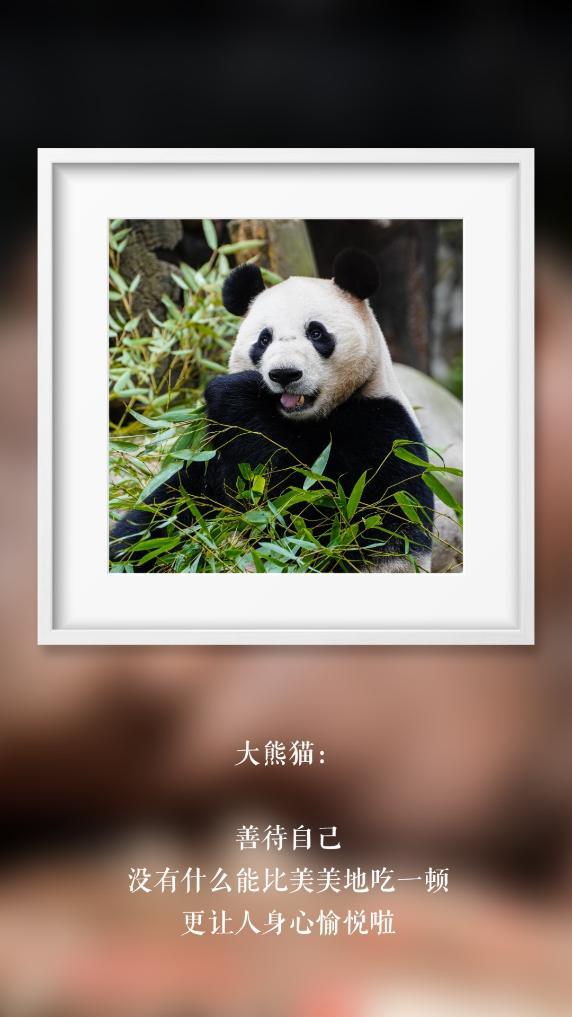 世界微笑日丨那些“天生爱笑”的萌物们