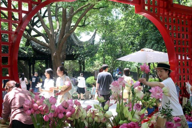 江苏苏州：荷花市集热闹非凡