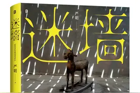 以荒诞和诗意，深刻描摹时代——著名摄影师、侯登科奖得主严明首部彩色摄影集《迷墙》出版图片