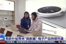 “优惠相当给力” 购新补贴掀起电子产品“换新潮”图片