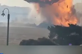 总台记者观察丨韩国客机事故初步原因判定为与鸟群相撞图片