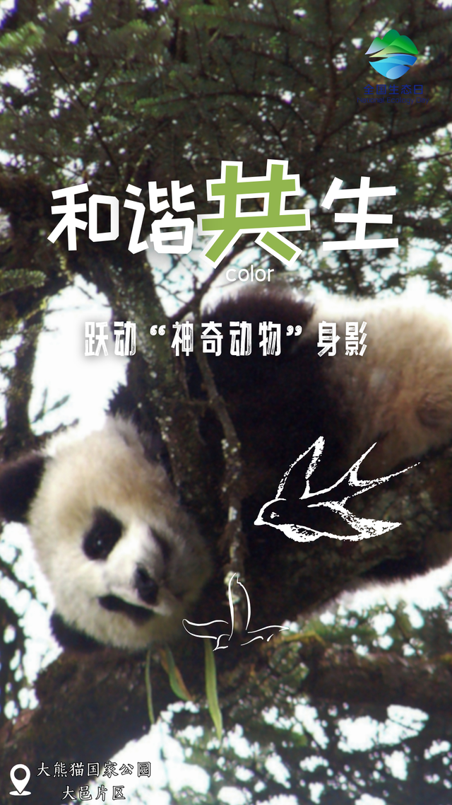 就在今天！带你“邑”看青绿