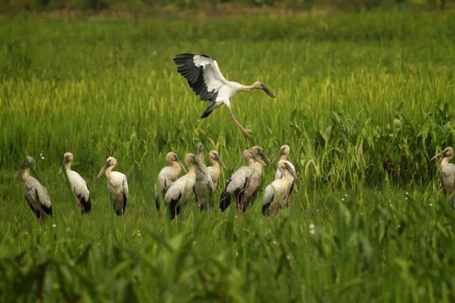云游美丽中国 · 普者黑特辑