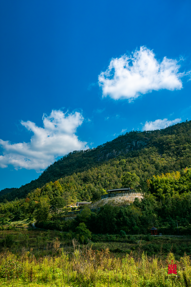 想追风，去团风！