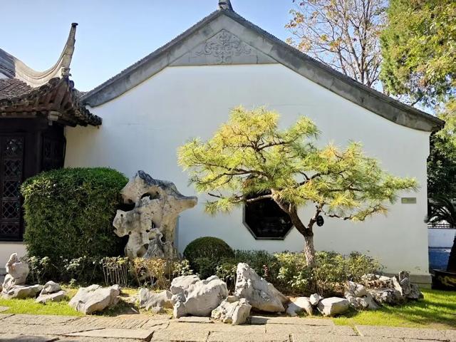 欢迎走进愚园的假山秘境→