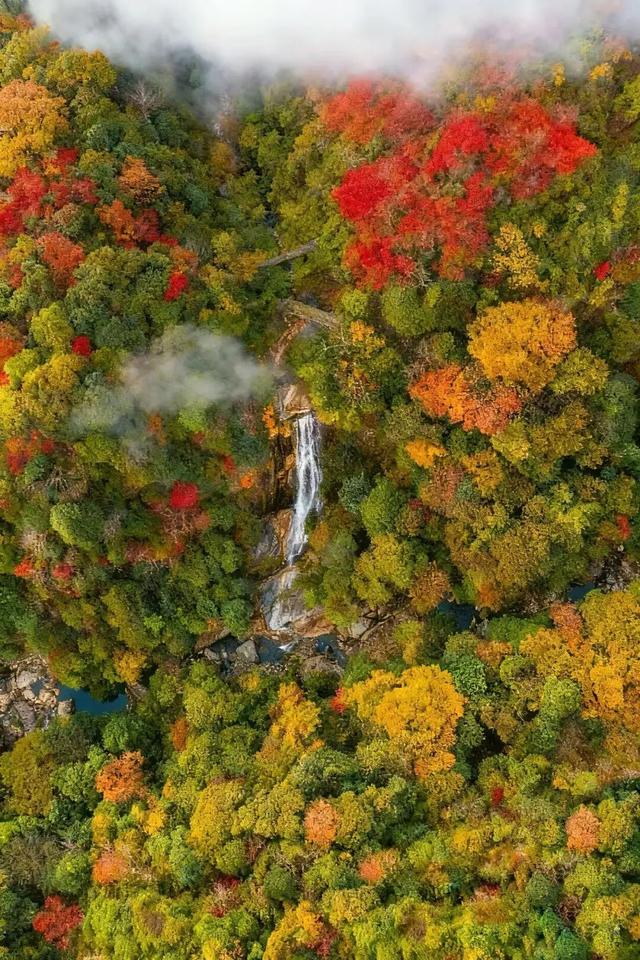 “秋假”第一站！上饶把最美的颜色，“晒”给你看