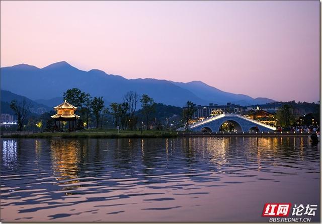 当夜色笼罩金月湖：一场热闹与静谧之间的选择