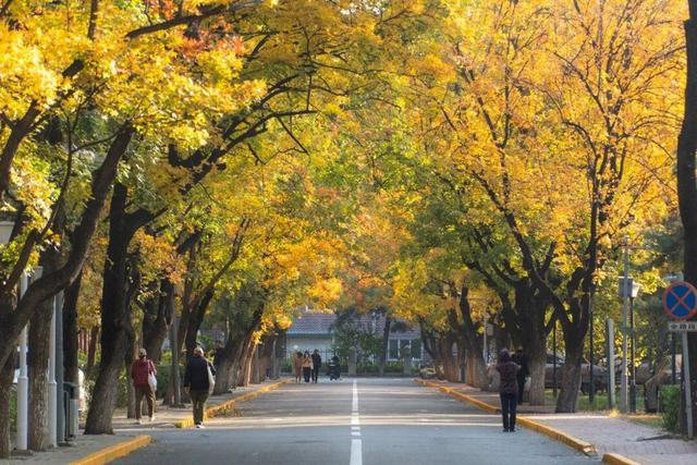 藏不住了！攒了整个秋天的北医美景，立冬前全部分享！