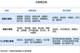 36氪研究院 | 2024年中国小家电产业洞察报告图片