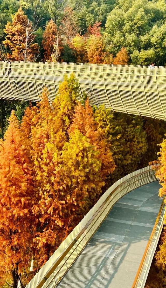 向云端，17分钟，这条云端索道全攻略来啦！