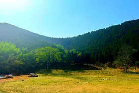 给绿水青山上“户口”！济南市完成重点区域自然资源统一确权登记图片