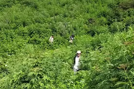能够勘破地下几公里的透视眼！高性能重磁反演技术助力深部找矿｜科技观察图片