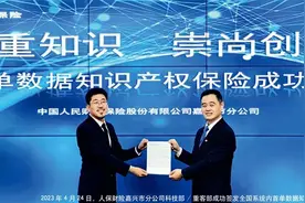 《中国金融》｜保险创新助力发展新质生产力图片