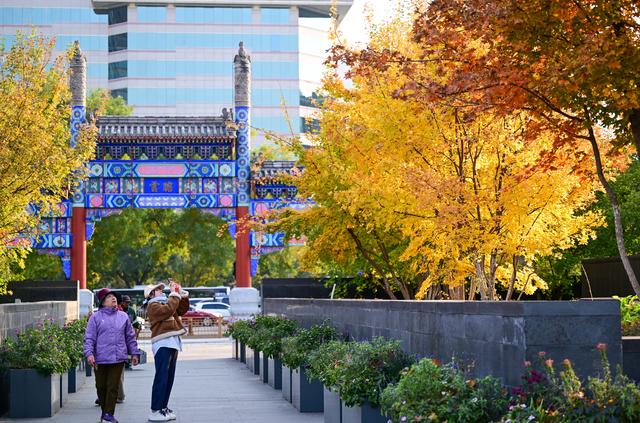 京城秋深韵悠长