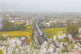 一列动车组列车行驶在南郑特大桥上图片