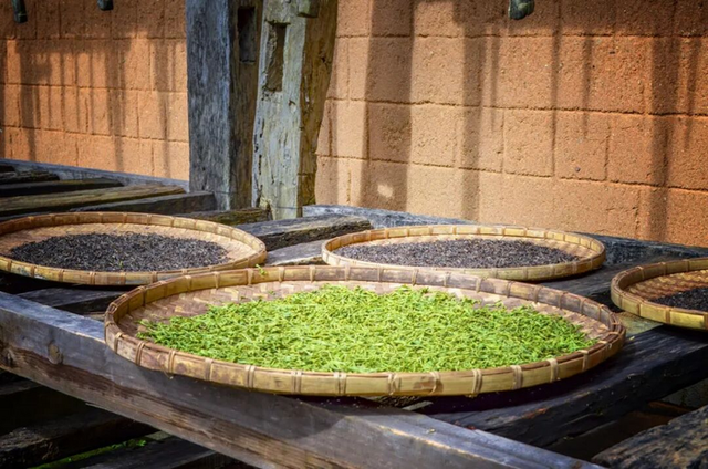 新茶饮赚疯了 卖茶叶的为啥挣不到钱？ | 超品洞察