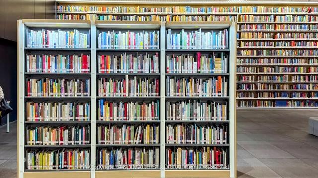 ​别再说深圳是文化沙漠！这份双馆暴走攻略，让你重新认识这座城市