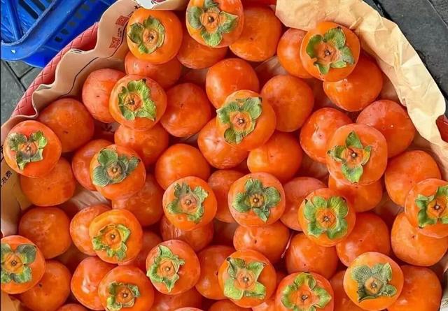 谁说冬天只有白色！快来解锁冀南新区冬日色彩