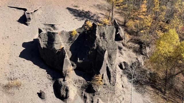 假期闲记（二）