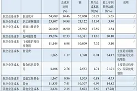 成本依然高企，南方航空净亏损17亿元，225亿债券将在一年内到期 | 债市财报观察图片
