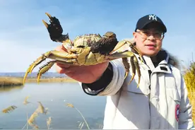 “南鱼北养”运城探索图片