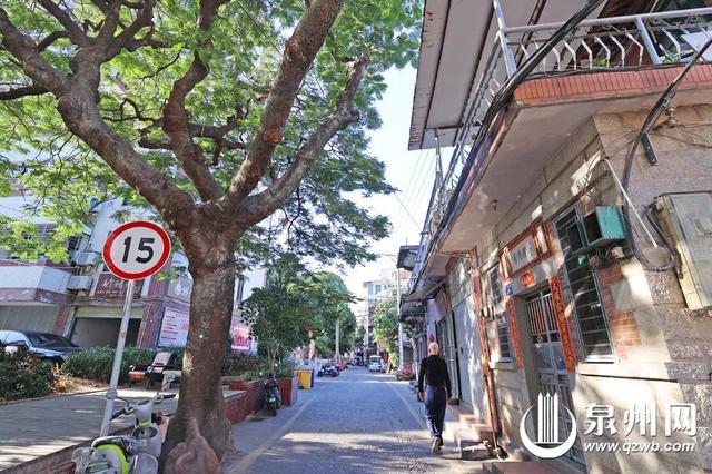 二郎巷：寻常巷陌里的人文星光