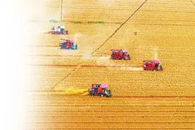 新农人 新农技 新农田——“三夏”新观察图片